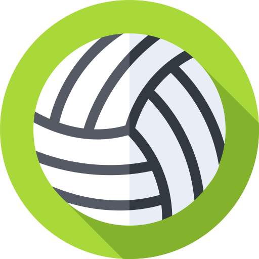 Volleyball Icon